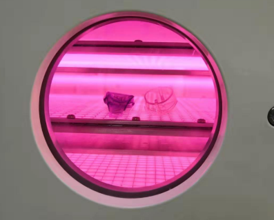 真空91免费小视频清洗机.png 真空91免费小视频清洗机.png