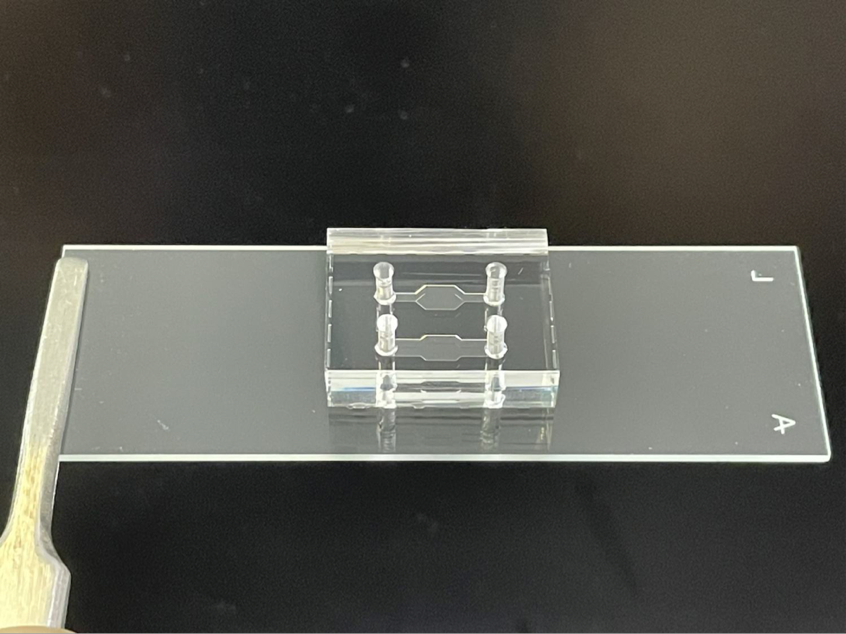 PDMS芯片.png PDMS芯片.png